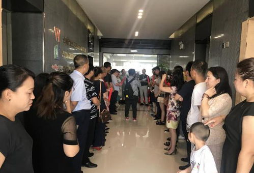 吉林省匯邦交通建設技術咨詢有限責任公司 重磅升級