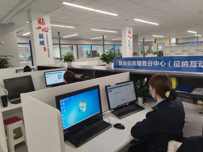 數據多跑路群眾少跑腿!智慧稅務便民又高效