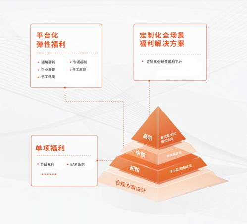 以福利管理為切口，中智關(guān)愛通打造“以人為本”的數(shù)字化服務(wù)能力